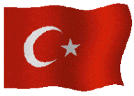 török tolmács